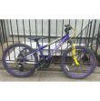 Carrera Luna Kids Mountain Bike
